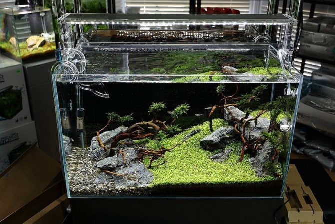 ADA AQUASKY 602 – японские светодиодные светильники