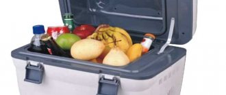 Сумка-холодильник на элементах Пельтье, нет компрессора, не нуждается во фреоне или других хладагентах