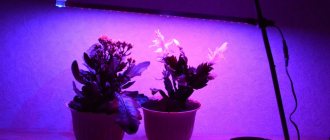 LED lighting for plants