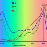 Dependence of plant sensitivity on a specific spectrum